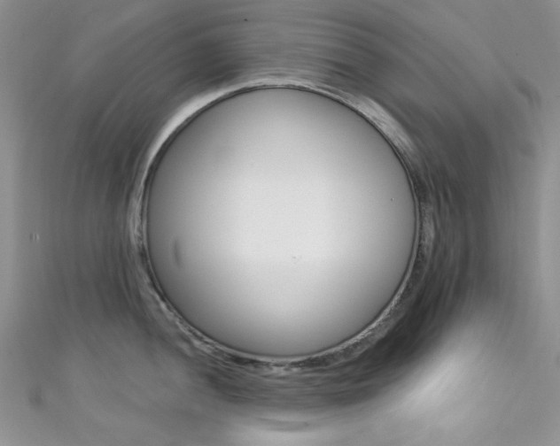 X0000111481052200907141039