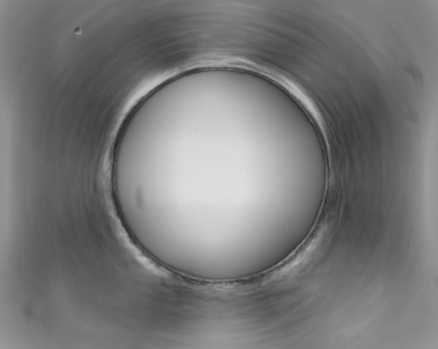 X0000111481053200907141039
