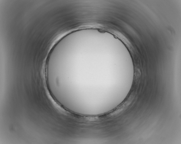X0000111481055200907141039