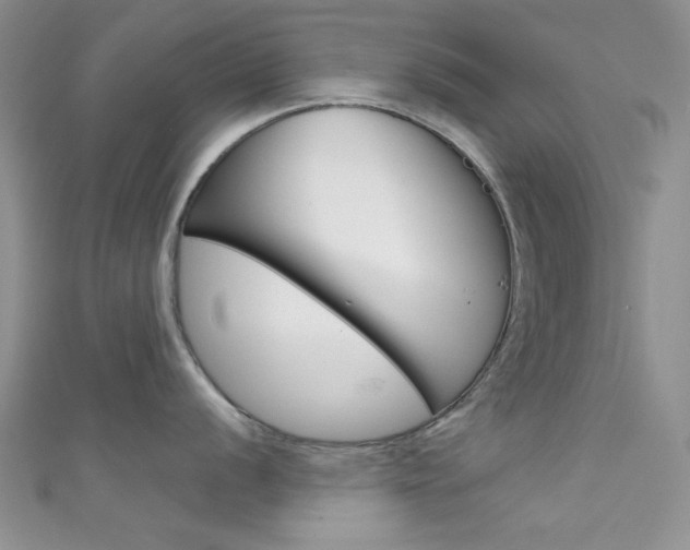 X0000111481056200907141039