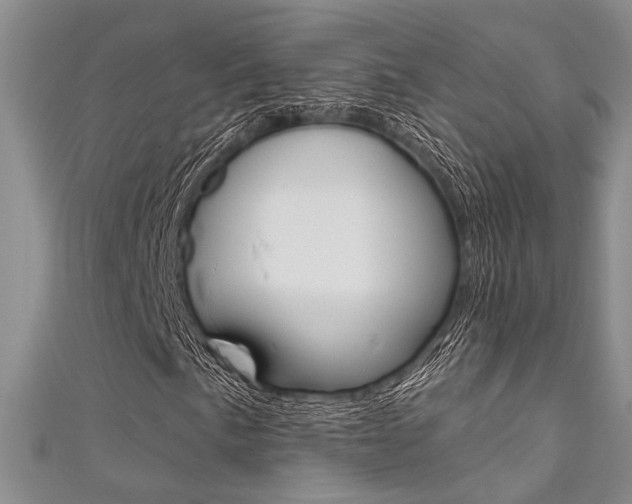 X0000111481057200907141038