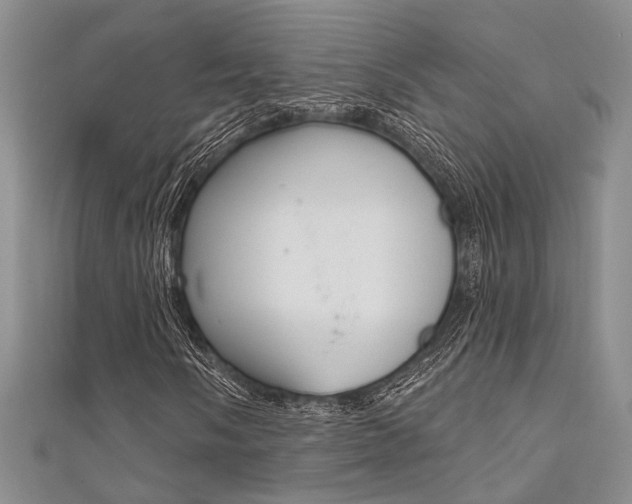 X0000111481058200907141038