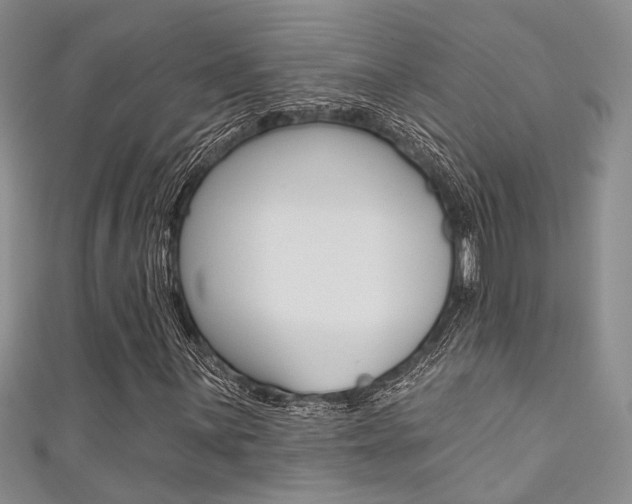X0000111481059200907141038
