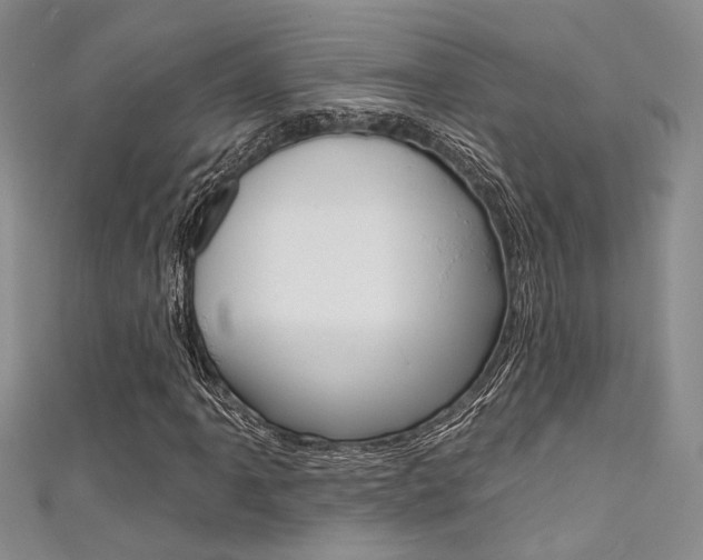 X0000111481061200907141038