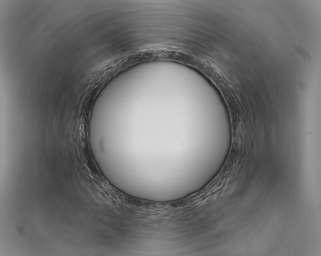 X0000111481062200907141038