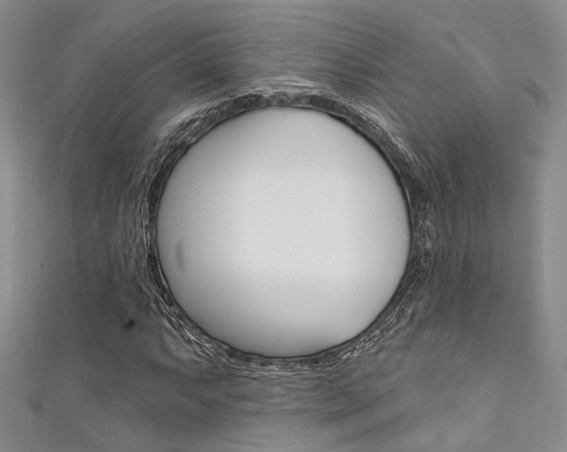 X0000111481063200907141038
