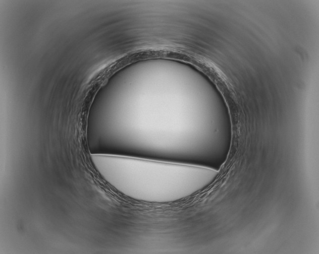 X0000111481064200907141038