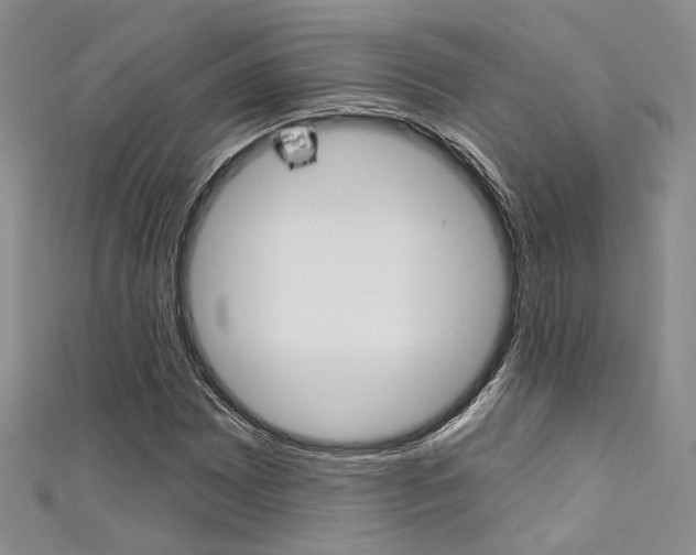X0000111481065200907141038