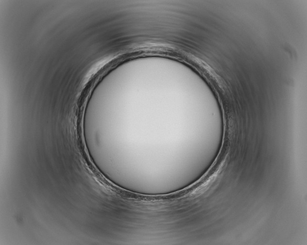 X0000111481066200907141038