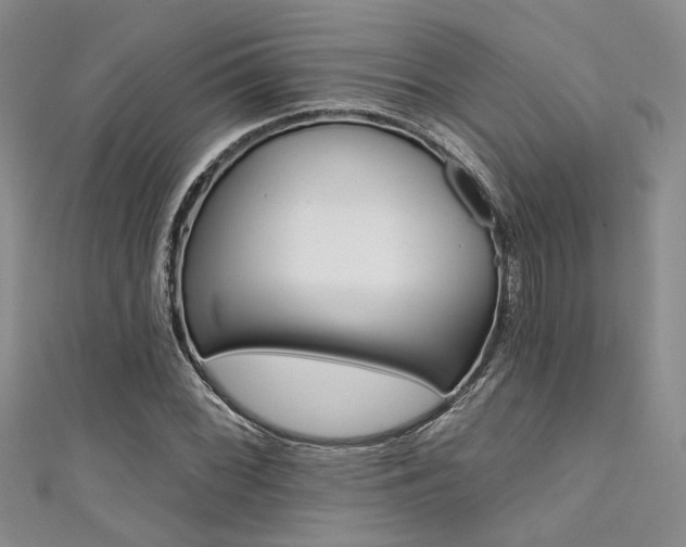 X0000111481068200907141038