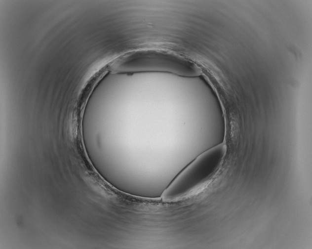 X0000111481069200907141038