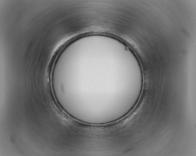 X0000111481070200907141038