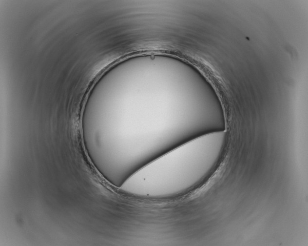 X0000111481073200907141038