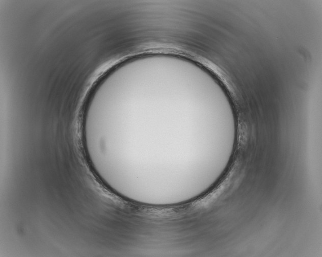 X0000111481074200907141038