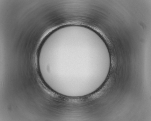 X0000111481078200907141038