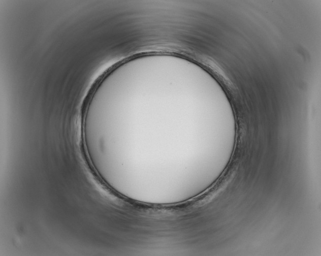 X0000111481079200907141038