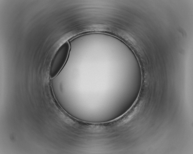 X0000111481081200907141038