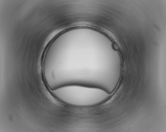 X0000111481082200907141038