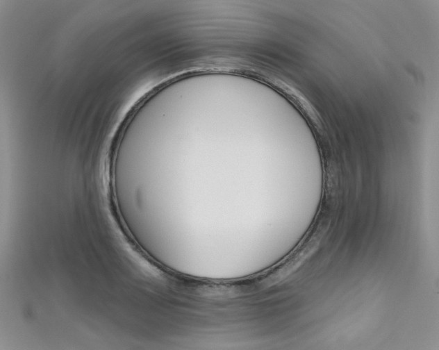 X0000111481083200907141038