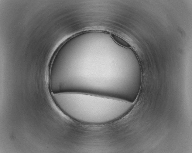 X0000111481084200907141038