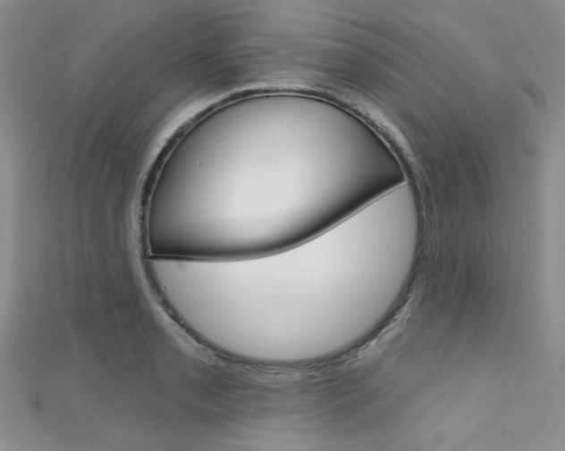 X0000111481085200907141038