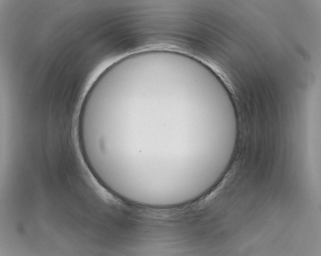 X0000111481086200907141038