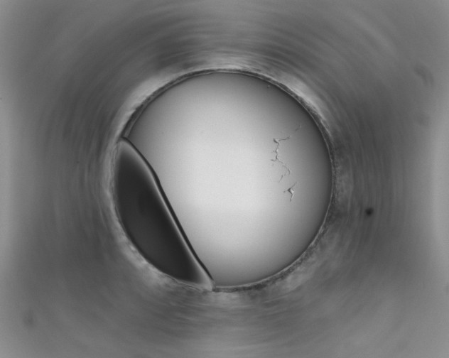 X0000111481088200907141038