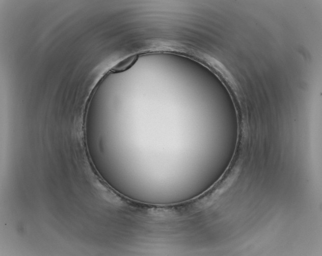 X0000111481089200907141038