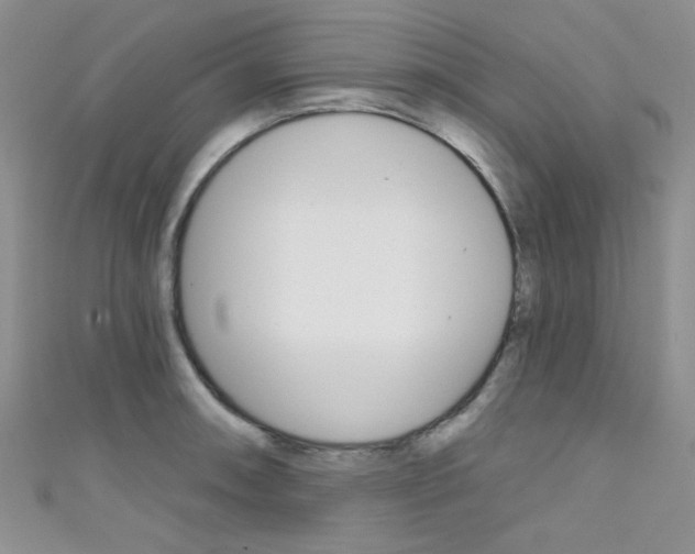 X0000111481090200907141038