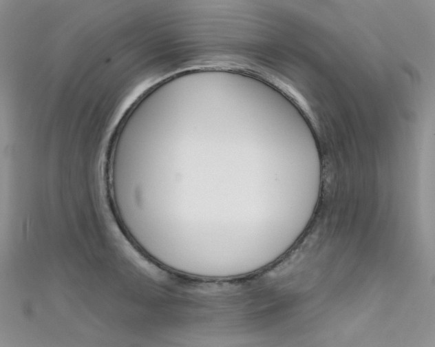 X0000111481091200907141038