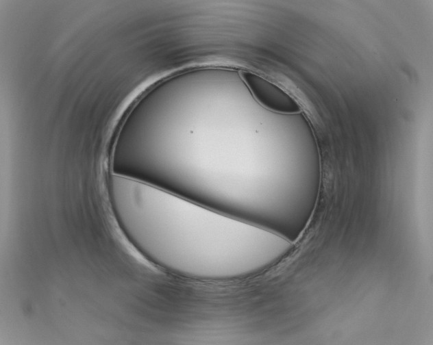 X0000111481092200907141038