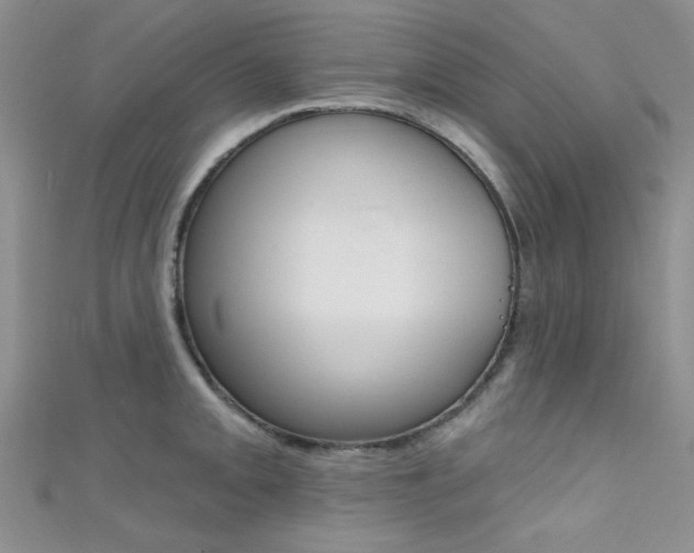 X0000111481093200907141038