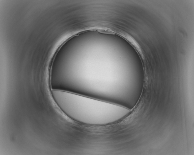 X0000111481096200907141038