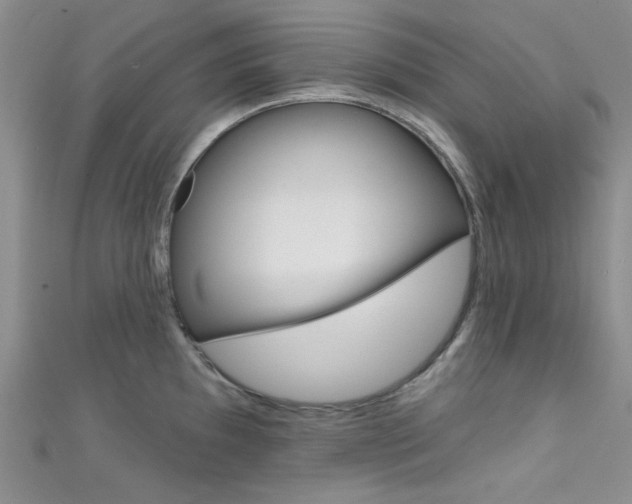 X0000111481097200907141038