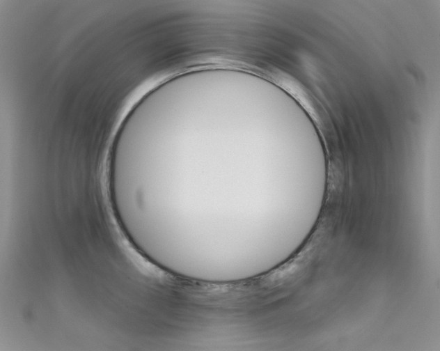 X0000111481098200907141038