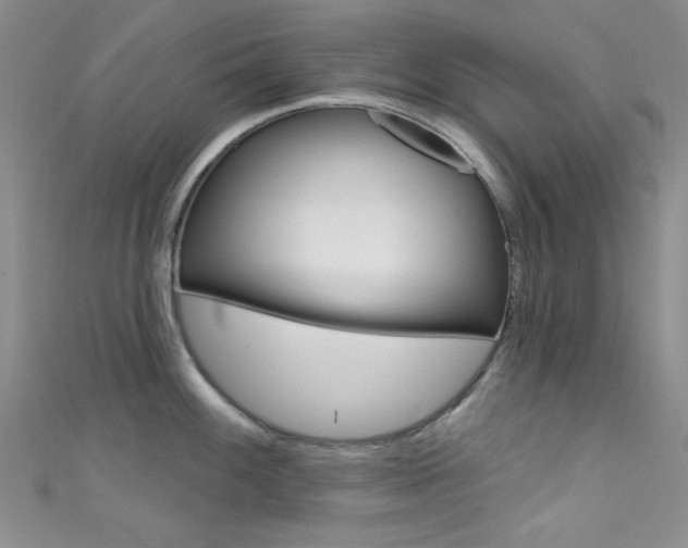 X0000111481100200907141038