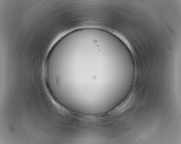 X0000111481101200907141038