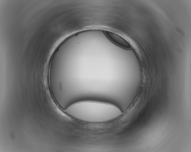 X0000111481102200907141038