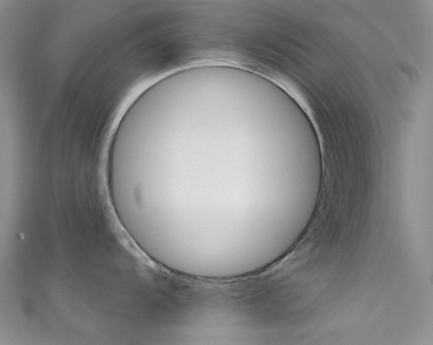 X0000111481104200907141038