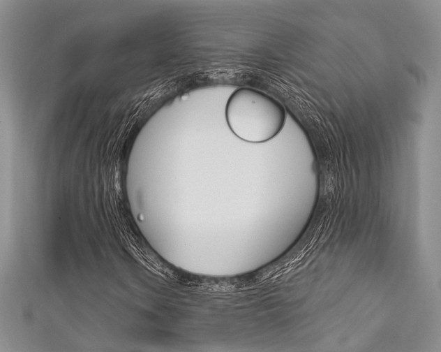 X0000111481106200907141037