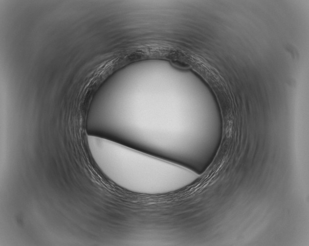 X0000111481108200907141037