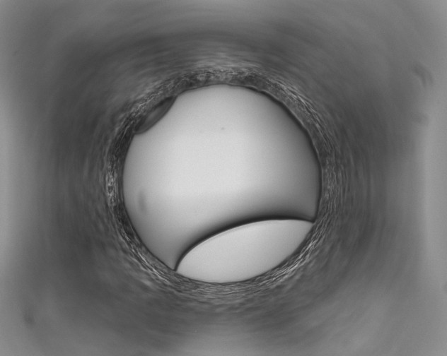 X0000111481109200907141037