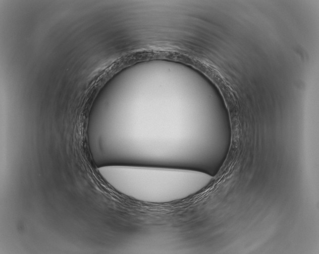 X0000111481110200907141037