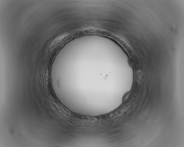 X0000111481111200907141037