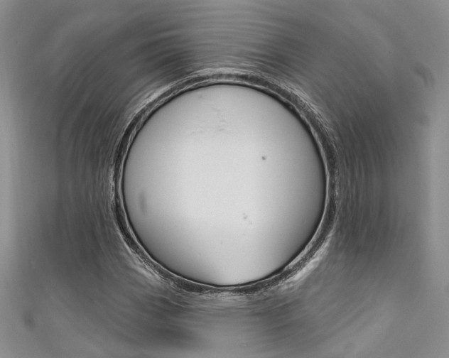X0000111481113200907141037