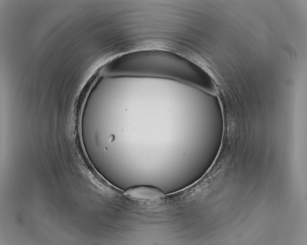 X0000111481116200907141037
