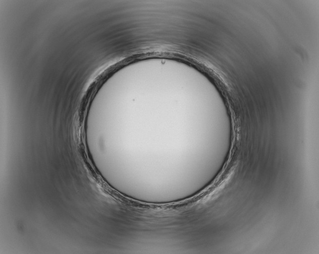 X0000111481117200907141037