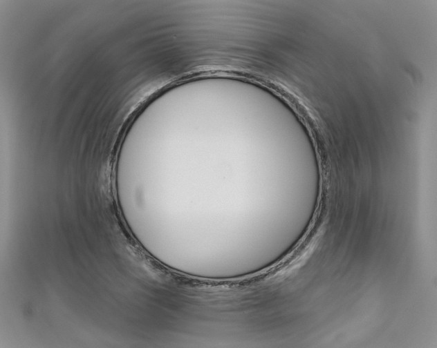 X0000111481121200907141037