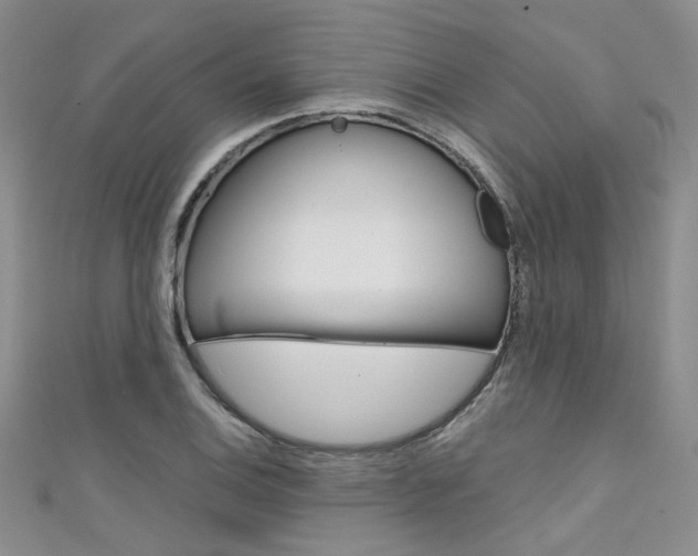 X0000111481124200907141037