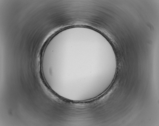 X0000111481126200907141037